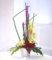 opulent_orchids.jpg